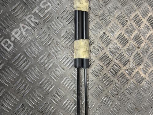 tailgate-lift-support-renault-clio-iv-bh_-2012-2013-2014-2015-2016-2017-2018-2019-2020-2021-34241904 main image