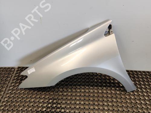 Used Left front fenders RENAULT LAGUNA III (BT0/1) 2.0 dCi (BT01, BT08, BT09, BT0E, BT0K, BT12, BT1C, BT1D,... (150 hp) 20345601