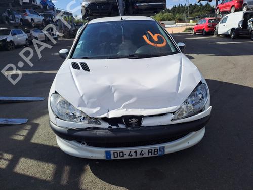Right rear door PEUGEOT 206 Hatchback (2A/C) 1.4 HDi eco 70 | BP20347572C5 