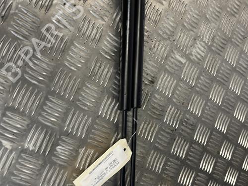 Used Tailgate lift support RENAULT TWINGO III (BCM_, BCA_) 1.0 SCe 70 (71 hp) 23790024