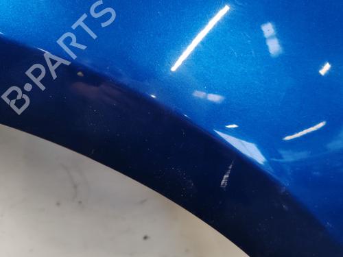 Left front fenders RENAULT CLIO III (BR0/1, CR0/1) 1.5 dCi (BR17, CR17) | BP29837834C41