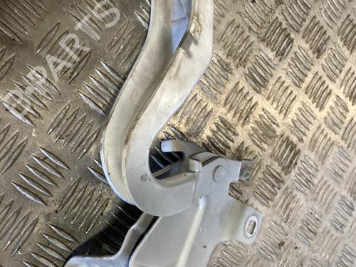 hingedoor-check-strap-renault-clio-iv-bh_-2012-2013-2014-2015-2016-2017-2018-2019-2020-2021-33849263 main image