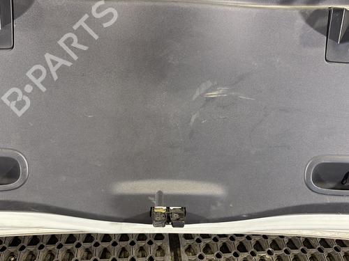 Tailgate RENAULT MODUS / GRAND MODUS (F/JP0_) 1.5 dCi (FP0F, JP0F) | BP23790062C6 