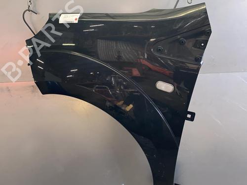 Left front fenders RENAULT TWINGO II (CN0_) 1.2 Turbo (CN0C, CN0F) | BP29869288C41