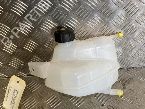 Used Expansion tank RENAULT KADJAR (HA_, HL_) 1.3 TCe 140 (HLNB, HLN1) (140 hp) 22095068