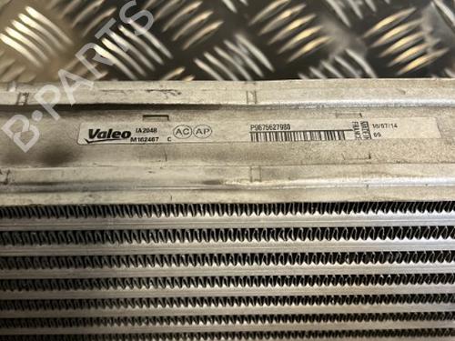 intercooler-citroen-c4-picasso-ii-16-hdi-90-9675627980-2013-20344697 main image