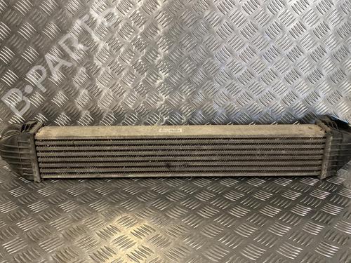 Intercooler MERCEDES-BENZ A-CLASS (W169) A 200 CDI (169.008, 169.308) | BP22094936M30 