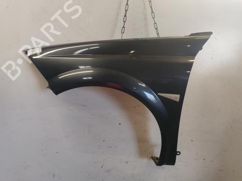 Used Left front fenders RENAULT MEGANE II Coupé-Cabriolet (EM0/1_) 1.5 dCi (EM1E) (106 hp) 27887949