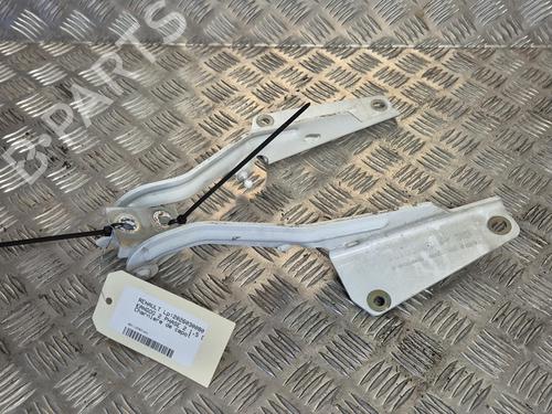 hingedoor-check-strap-renault-kangoo-grand-kangoo-ii-kw01_-2008-36470223 main image