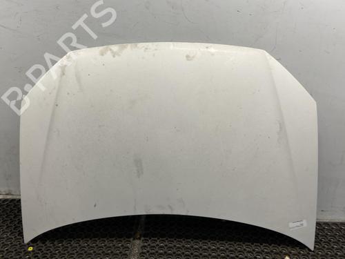 Used Hood VW POLO IV (9N_, 9A_) 1.4 TDI (70 hp) 20348041