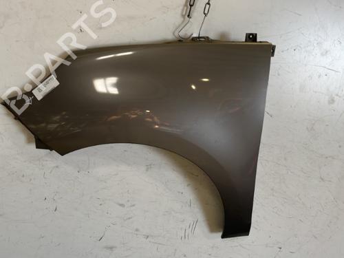 Used Left front fenders RENAULT SCÉNIC III (JZ0/1_) 1.9 dCi (JZ0J, JZ1J, JZ1K, JZ1S) (131 hp) 20347658
