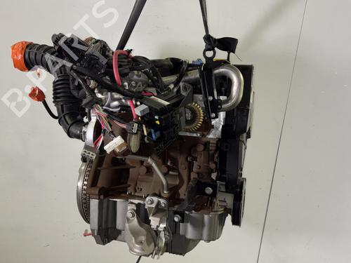 Engine RENAULT MEGANE III Hatchback (BZ0/1_, B3_) 1.5 dCi (BZ09, BZ0D, BZ1W, BZ29, BZ14) | BP29737638M1