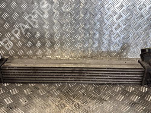 Used Intercooler RENAULT MEGANE III Hatchback (BZ0/1_, B3_) 1.5 dCi (BZ0C) (90 hp) 32491802
