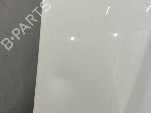 Used Hood RENAULT KOLEOS I (HY_) 2.0 dCi 4x4 (HY0K) (150 hp) 20674921