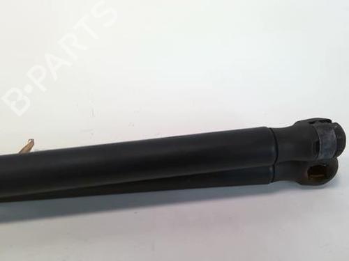 Tailgate lift support FORD FOCUS II Turnier (DA_, FFS, DS) 2.0 TDCi | BP20941256C138 