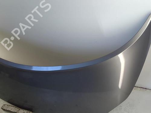 Panser RENAULT SCÉNIC II (JM0/1_) 1.5 dCi (JM1E, JM16) (106 hp) 20957549