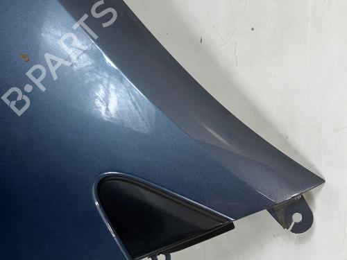 Left front fenders RENAULT CLIO III (BR0/1, CR0/1) 1.5 dCi (BR17, CR17) | BP23791998C41 