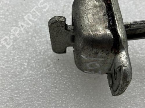 Hinge/Door check strap PEUGEOT 107 (PM_, PN_) 1.4 HDi | BP20962040C146 