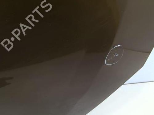 Used Hood Hood RENAULT TWINGO II (CN0_) 1.2 16V (CN04, CN0B) (75 hp) 20969031 20969031