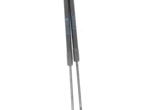 Tailgate lift support BMW 1 (F20) 118 d | BP29614169C138 