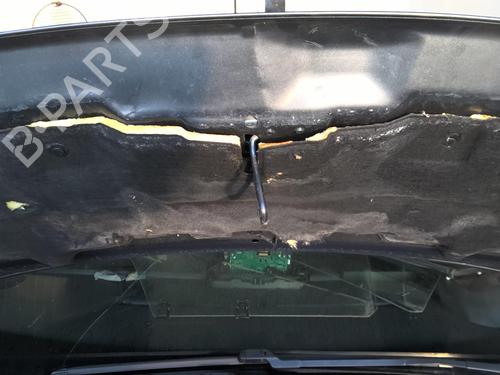 Hood PEUGEOT 3008 I MPV (0U_) 1.6 BlueHDi 120 | BP23792262C1