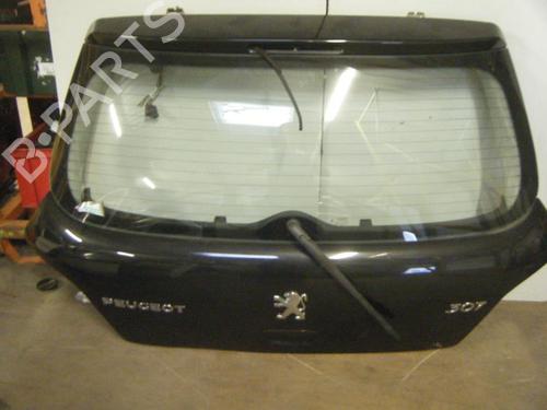 Bakluke CC/Kombi-Kupé PEUGEOT 307 (3A/C) 1.6 16V (109 hp) 20949296