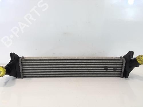 Intercooler DACIA SANDERO 1.5 dCi | BP20965621M30