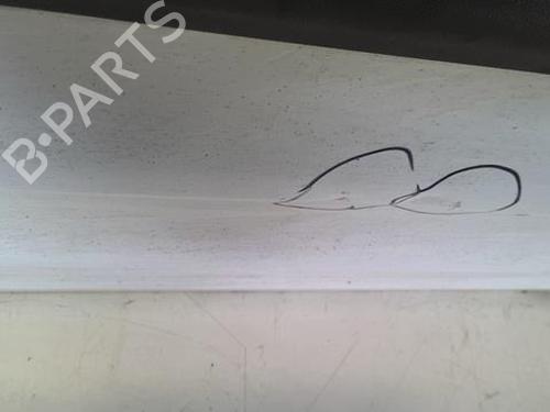 Left front door FORD TRANSIT CONNECT (P65_, P70_, P80_) 1.8 Di | BP22020047C2 