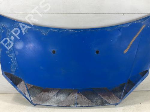 Hood FIAT DOBLO Box Body/MPV (223_) 1.6 Natural Power | BP22028435C1 