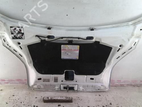 Used Hood PEUGEOT BIPPER Tepee 1.4 HDi (68 hp) 23200654