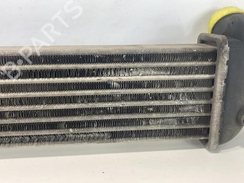 Used Intercooler Intercooler RENAULT KANGOO (KC0/1_) 1.5 dCi (68 hp) 21775810 21775810
