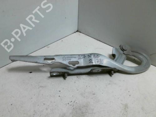 Hinge/Door check strap PEUGEOT 207 (WA_, WC_) 1.4 HDi | BP20957801C146 