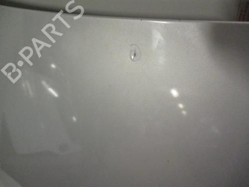 Used Hood FIAT IDEA (350_) 1.4 16V (95 hp) 20966123