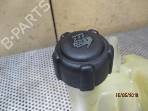 Expansion tank RENAULT LAGUNA II (BG0/1_) 1.9 dCi | BP20943205C120 
