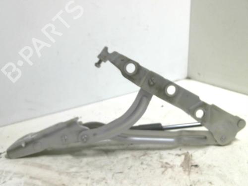 Used Hinge/Door check strap VOLVO S40 II (544) 1.6 D (110 hp) 22021613