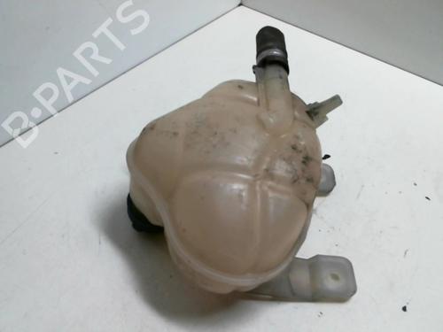 Expansion tank FIAT GRANDE PUNTO (199_) 1.3 D Multijet | BP20940411C120
