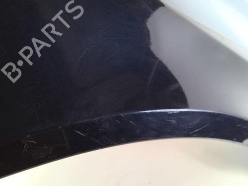 Right front fenders RENAULT LAGUNA II (BG0/1_) 1.9 dCi (BG1A, BG1W, BG0G) | BP20965087C42 