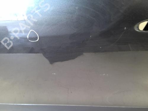 Left front door RENAULT SCÉNIC III (JZ0/1_) 1.6 dCi (JZ00, JZ12) | BP22024989C2 