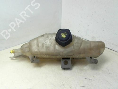 Used Expansion tank RENAULT CLIO III (BR0/1, CR0/1) 1.5 dCi (C/BR0G, C/BR1G) (68 hp) 25267868