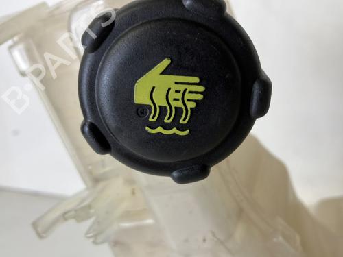 Ekspansjonstank Ekspansjonstank RENAULT LAGUNA III Grandtour (KT0/1) 2.0 dCi (KT07, KT0J, KT14, KT1A, KT1S) (131 hp) 24816233 24816233