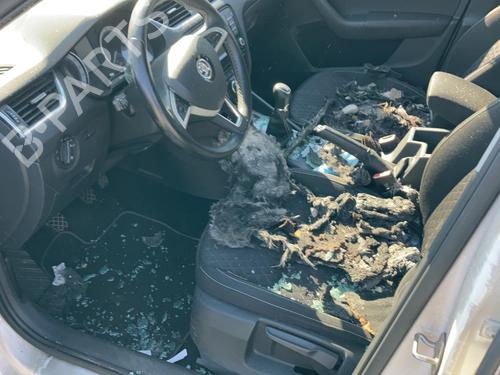 - Image 5