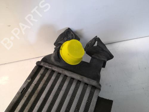 Used Intercooler Intercooler FIAT PANDA (312_, 319_) 1.3 D Multijet 4x4 (312PXS2A) (80 hp) 20971411 20971411