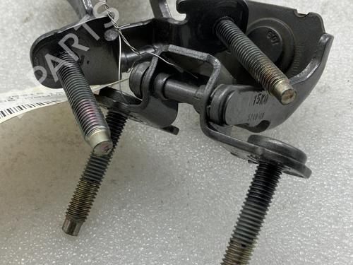 Used Hinge/Door check strap RENAULT SCÉNIC IV (J9_) 1.3 TCe 140 (140 hp) 21067587