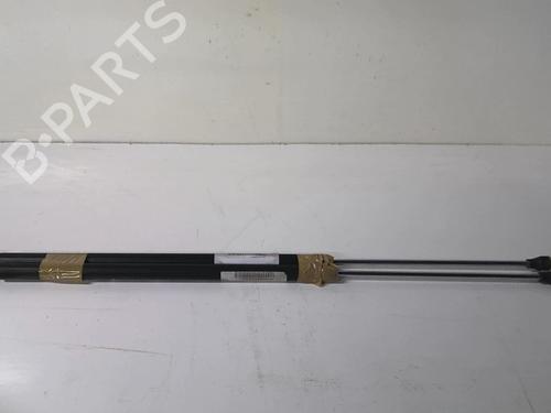 Used Tailgate lift support CITROËN BERLINGO / BERLINGO FIRST MPV (MF_, GJK_, GFK_) 2.0 HDI 90 (MFRHY) (90 hp) 20965789