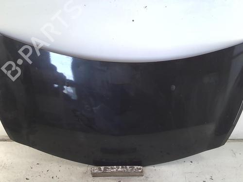 Hood RENAULT CLIO III (BR0/1, CR0/1) 1.5 dCi (BR17, CR17) | BP20951209C1 