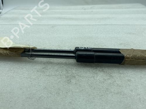Used Hood lift support RENAULT TRAFIC III Van (FG_) 1.6 dCi 95 (FGMJ, FGMR) (95 hp) 21062537