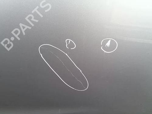 Left rear door FORD FIESTA VI (CB1, CCN) 1.4 TDCi | BP22025607C4 