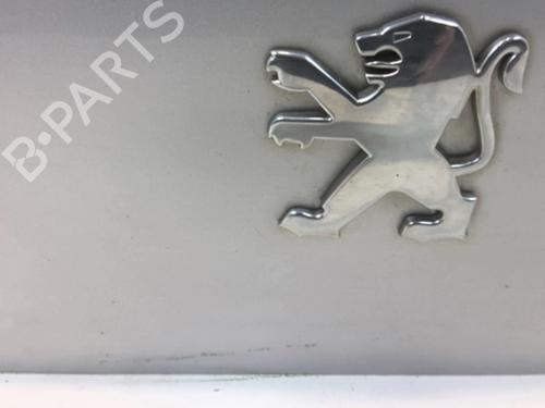 Tailgate PEUGEOT 1007 (KM_) 1.4 HDi | BP20953490C6