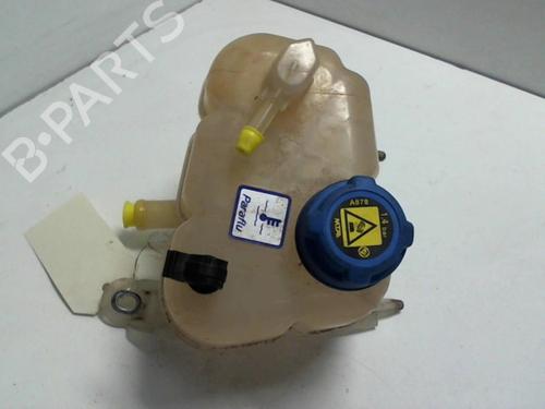Expansion tank FIAT PANDA (312_, 319_) 1.3 D Multijet 4x4 (312PXS2A) | BP20971464C120