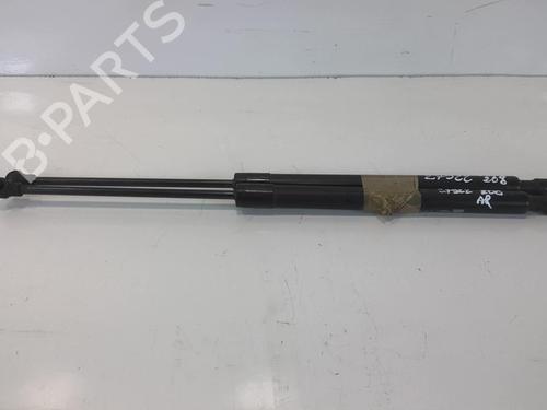 Tailgate lift support PEUGEOT 208 I (CA_, CC_) 1.6 HDi / BlueHDi 75 | BP20953494C138
